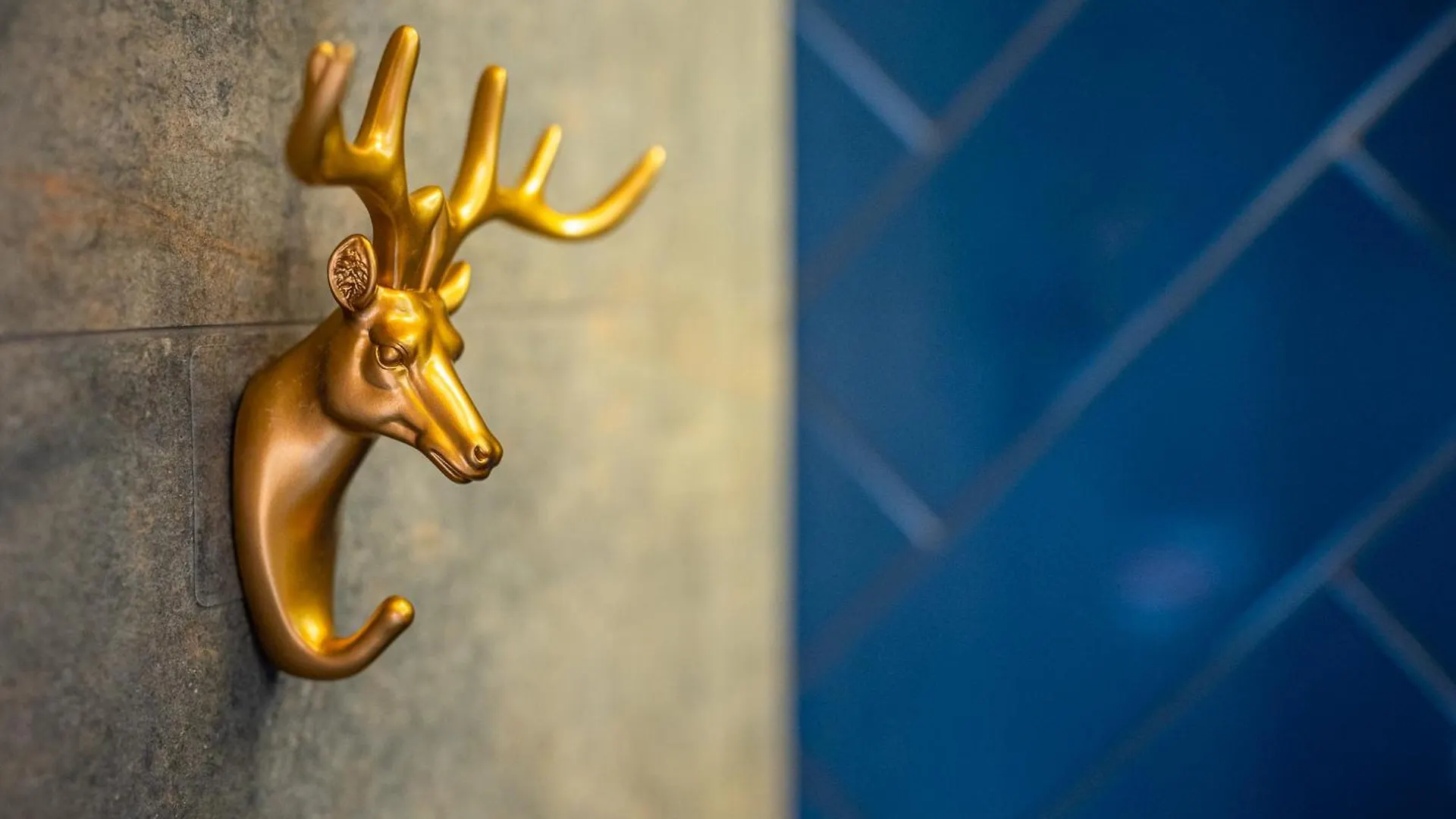 Stylish Apartment #2 In Krakow Old Town ポーランド